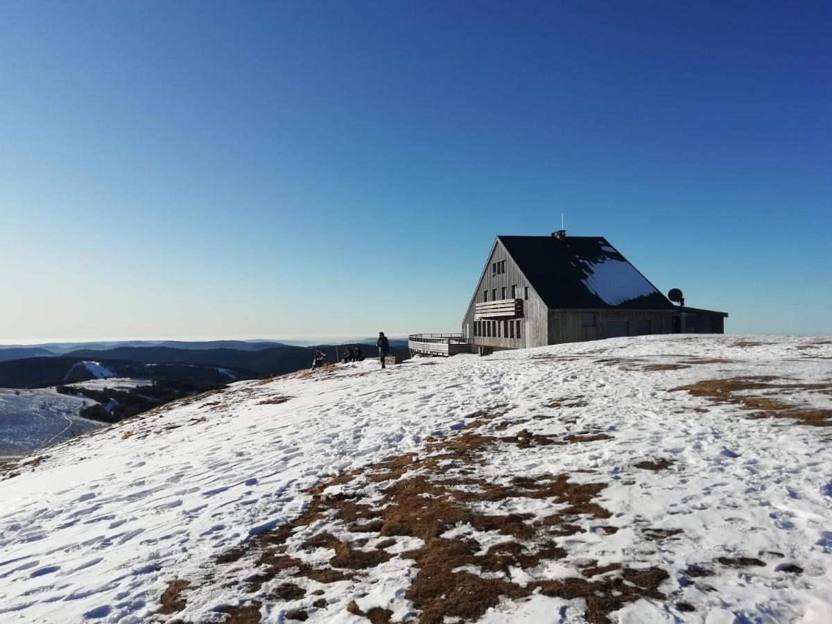 Hameau Des Chaumes Vue Panoramique Leilighet La Bresse Eksteriør bilde